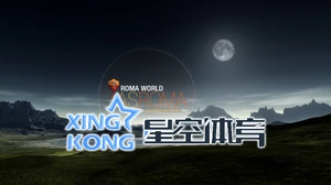 九游app官网入口下载安装全面指南操作简便体验优质