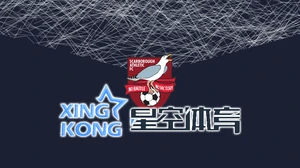 星空・体育app精彩赛事即时掌握用户体验升级