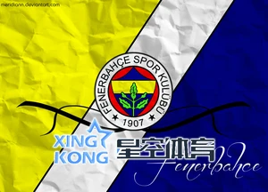 星空体育网站登录入口指南