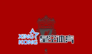 星空体育裁判辅助系统界面