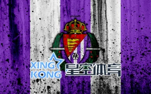 进球数1234球稳赚技巧全面解析助力胜率提升