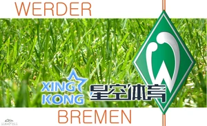 乐鱼(中国)体育官网：体育赛事直播、赛事预测、赛事资讯一站式服务