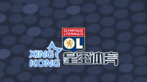 新葡澳京app最新版：全面解析功能特点和使用技巧