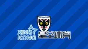 yoboo手机版登录入口官网最新动态全解析