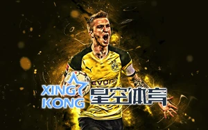 星空APP登录入口官网