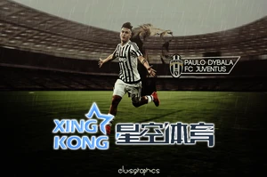 星空・综合体育中国携手共筑运动梦想